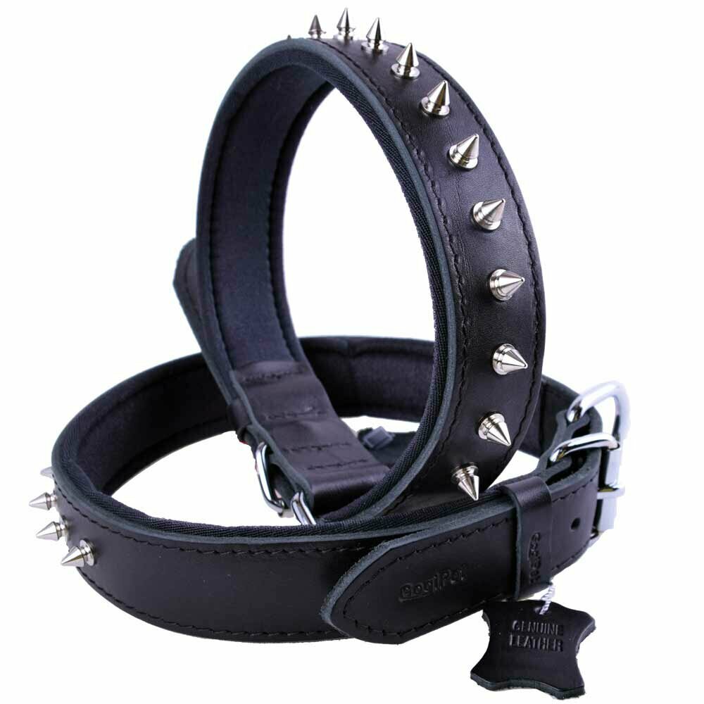GogiPet® Spike Lederhundehalsband 70 cm schwarz