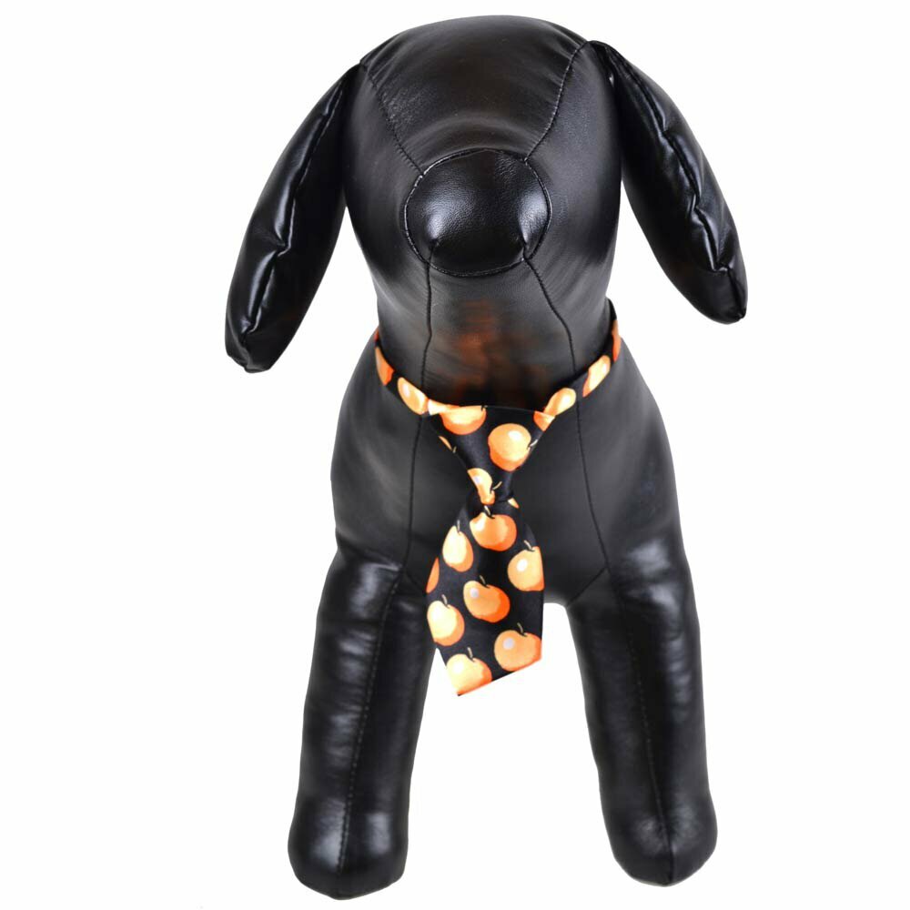Krawatte für Hunde Schwarz mit Äpfel