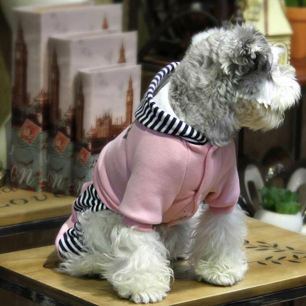 Rosa Hundebekleidung für den Winter