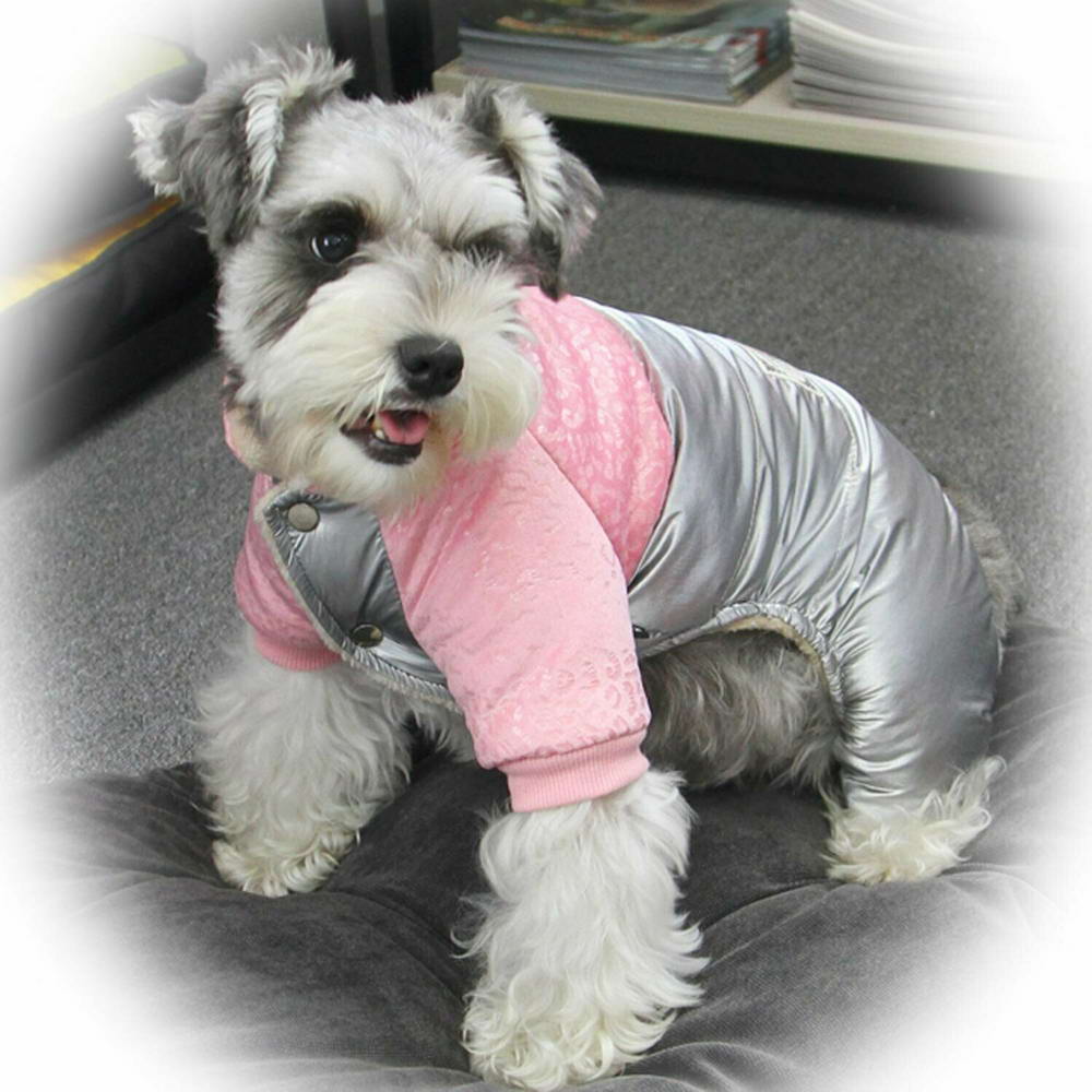 Liebevolle warme Hundebekleidung von GogiPet