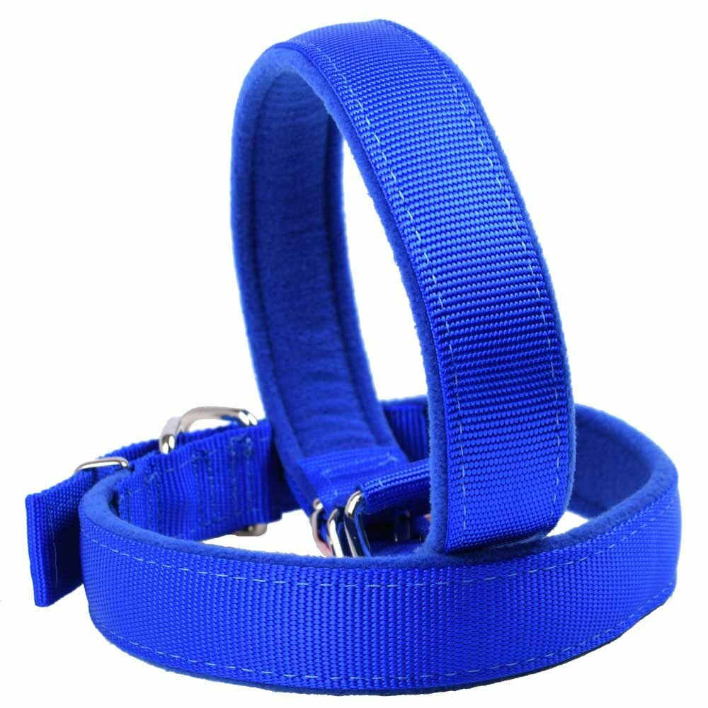 Sehr robustes und kuschelweiches Hundehalsband aus blauem Super Premium Gewebe mit flauschiger Polsterung