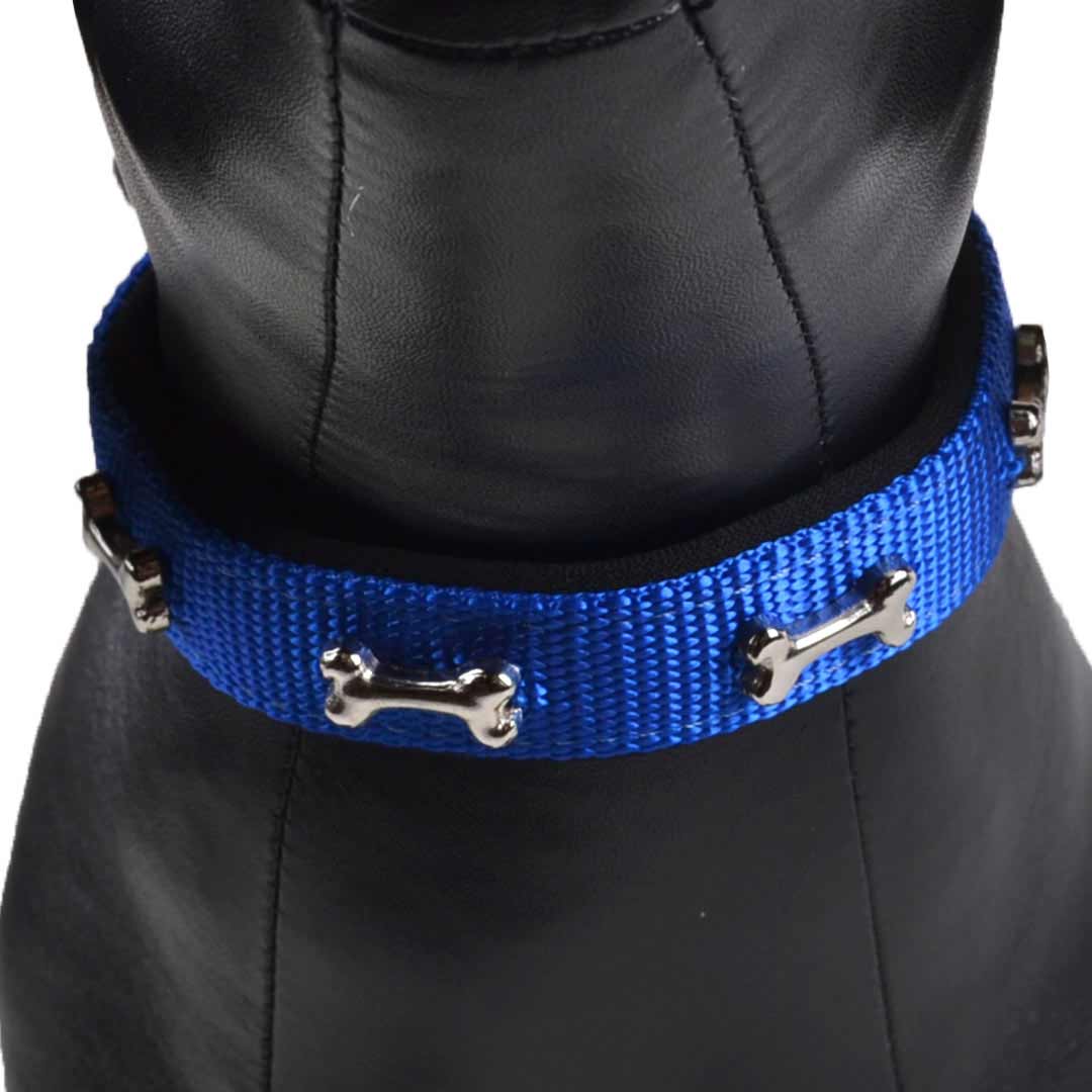 Super Premium Hundehalsband blau mit niedlichen Knochen