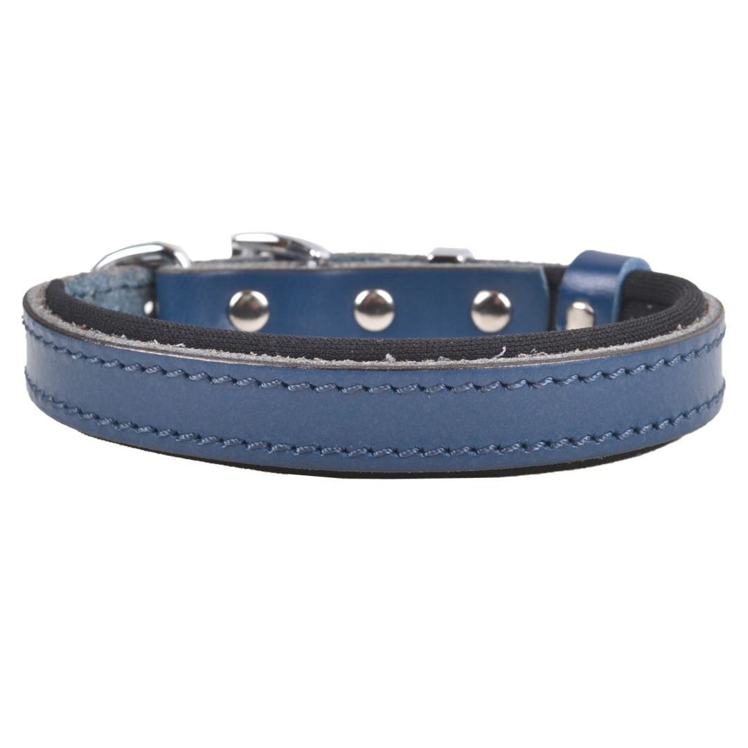 GogiPet® Komfort- Lederhundehalsband blau mit weicher Fütterung