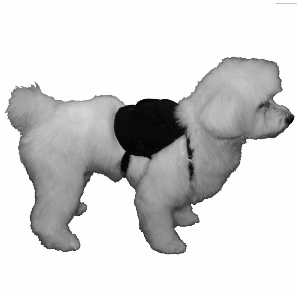 Brustgeschirr mit Hundeleine- das Hundebrustgeschirr im Hunderucksack Design