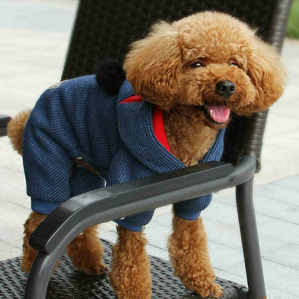Monster Hundebekleidung - Warme Hundebekleidung für den Winter