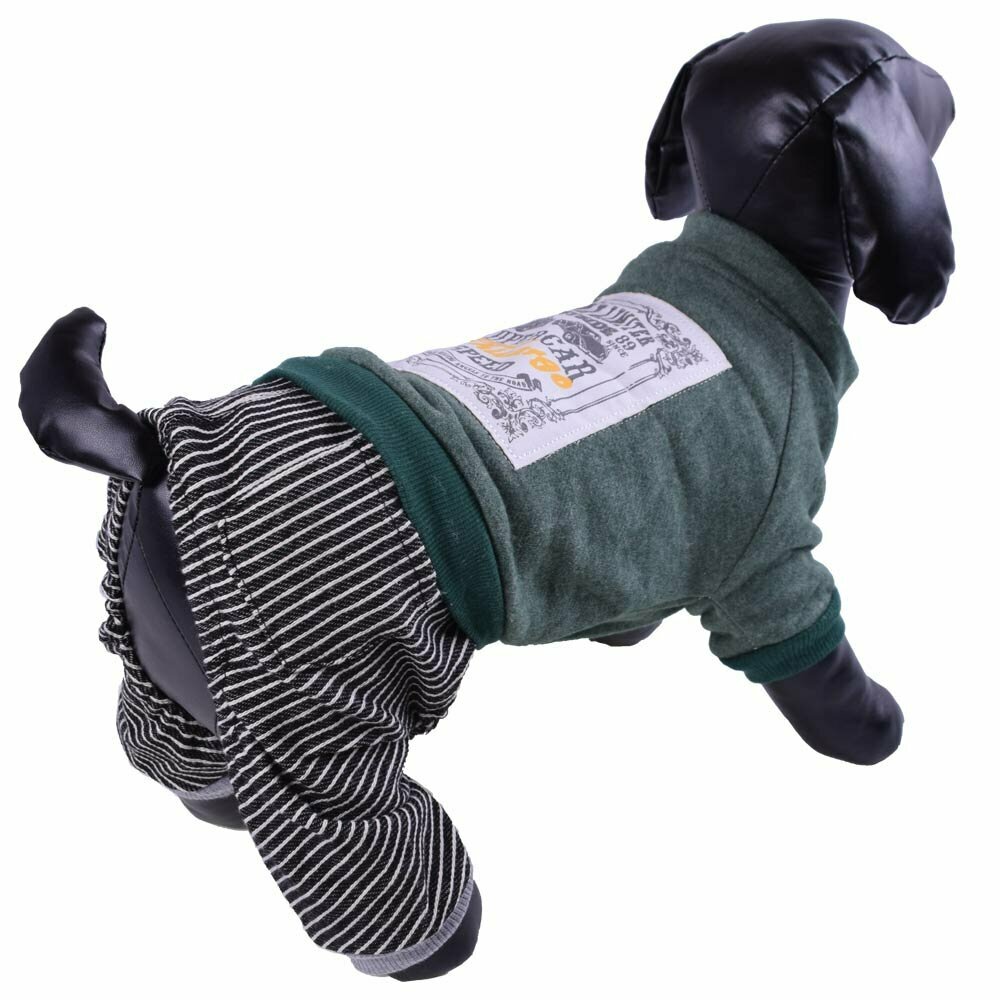 Warmer Baumwolle Overall für Hunde - Grün Supercar Hundebekleidung GogiPet