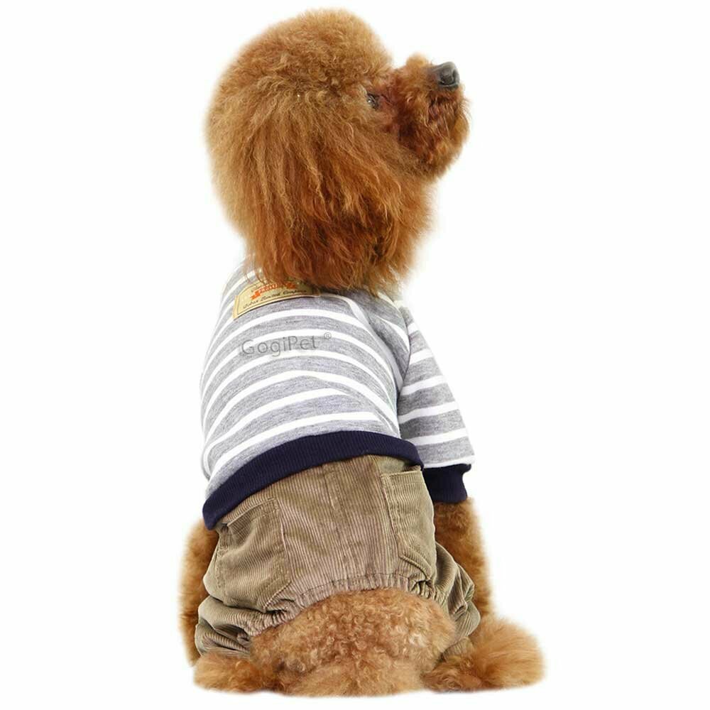 Warme Hundebekleidung aus hochwertigem Baumwollgemisch