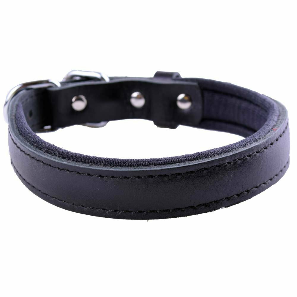 GogiPet® Komfort- Lederhundehalsband schwarz mit 45 cm