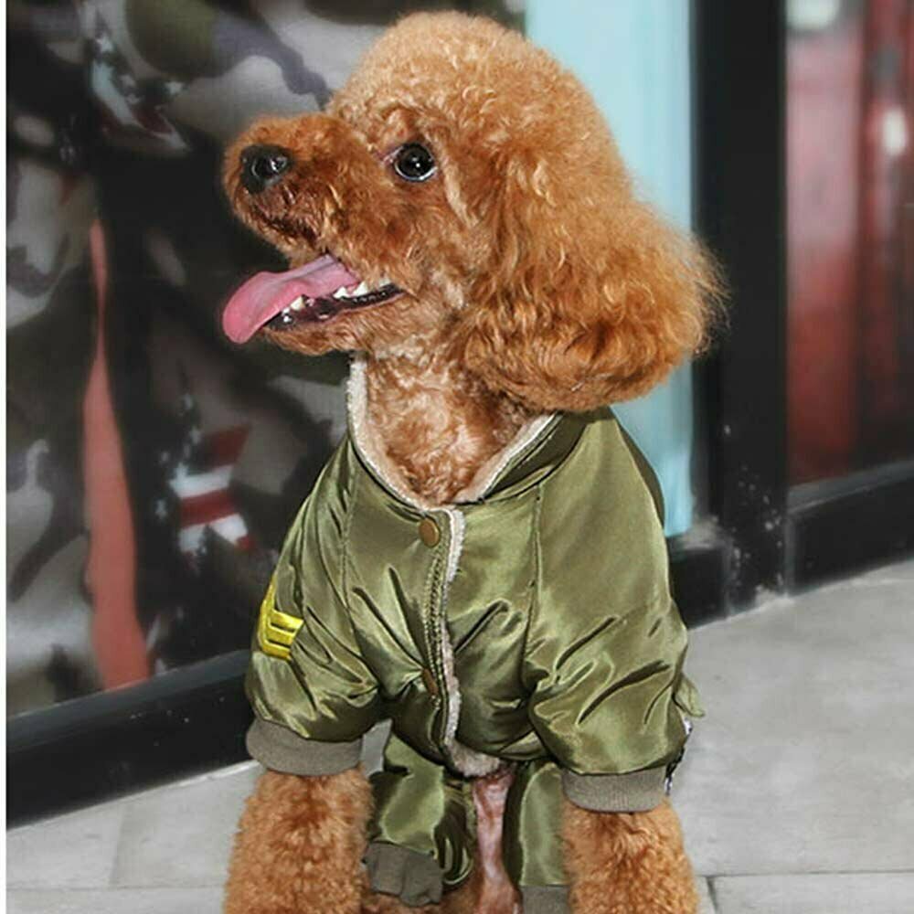 Air Force Hundemantel für den Winter - warme Hundebekleidung