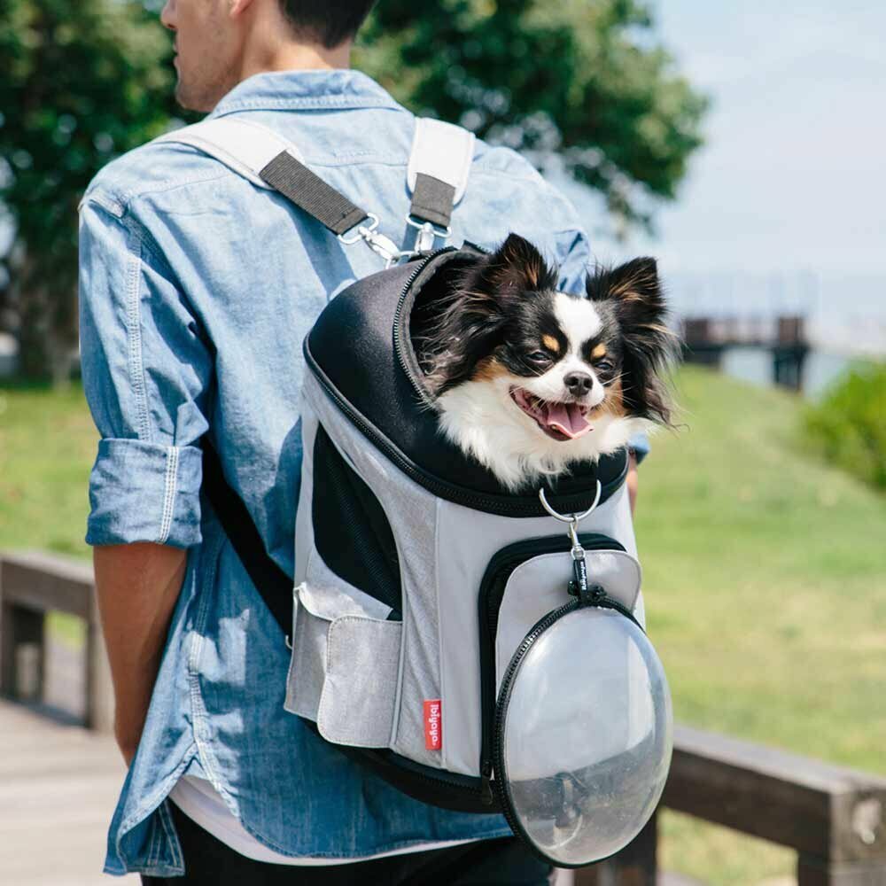 Hunderucksack für Reisen