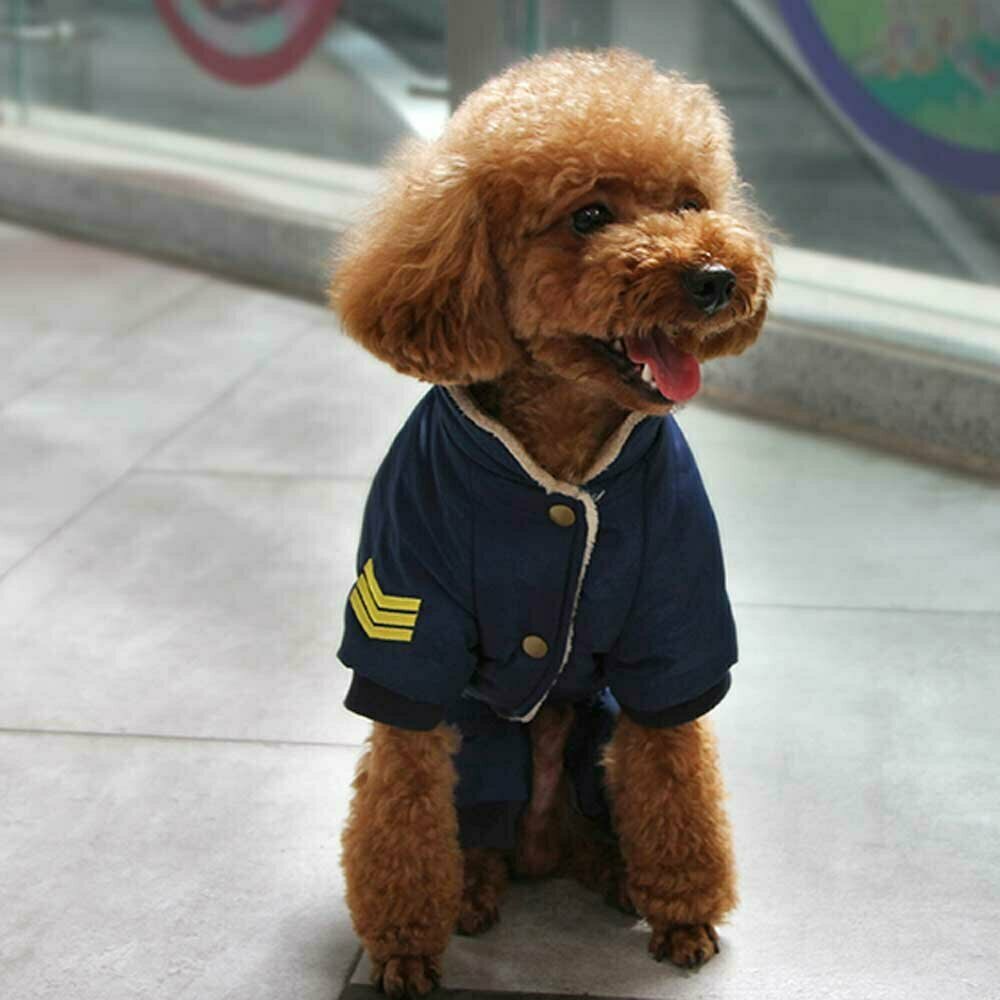 Warme Hundebekleidung Air Force