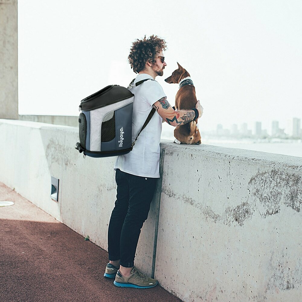 Reisetasche für Hunde - Flugtasche
