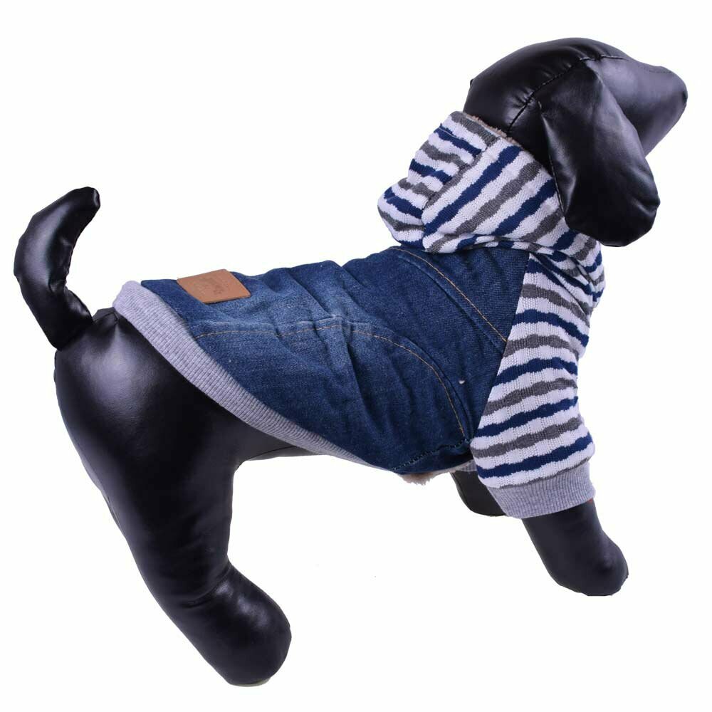 Jeansjacke mit Kapuze - Warmes Hundegewand -
