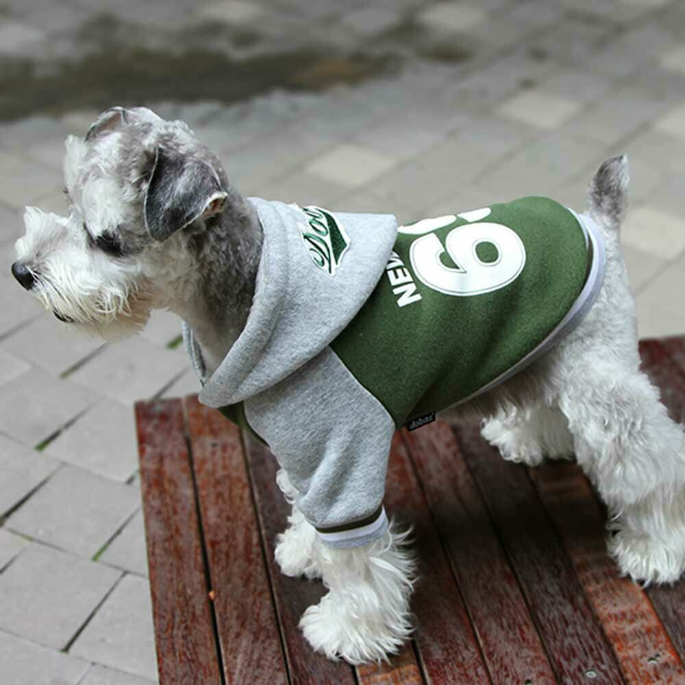 Warme Hundebekleidung - grüne Sportjacke