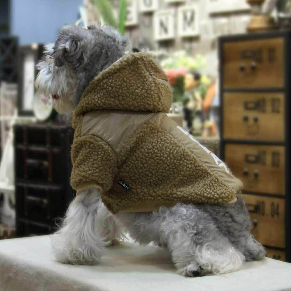Moderne Hundebekleidung für den Winter