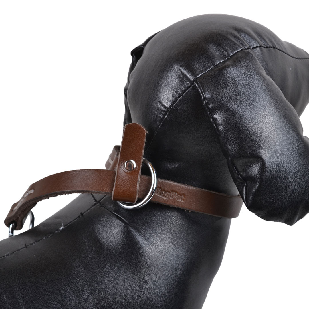 Sehr praktisches Schlupf Hundehalsband mit Stopper gegen herausschlüpfen in Handarbeit einzeln gefertigt