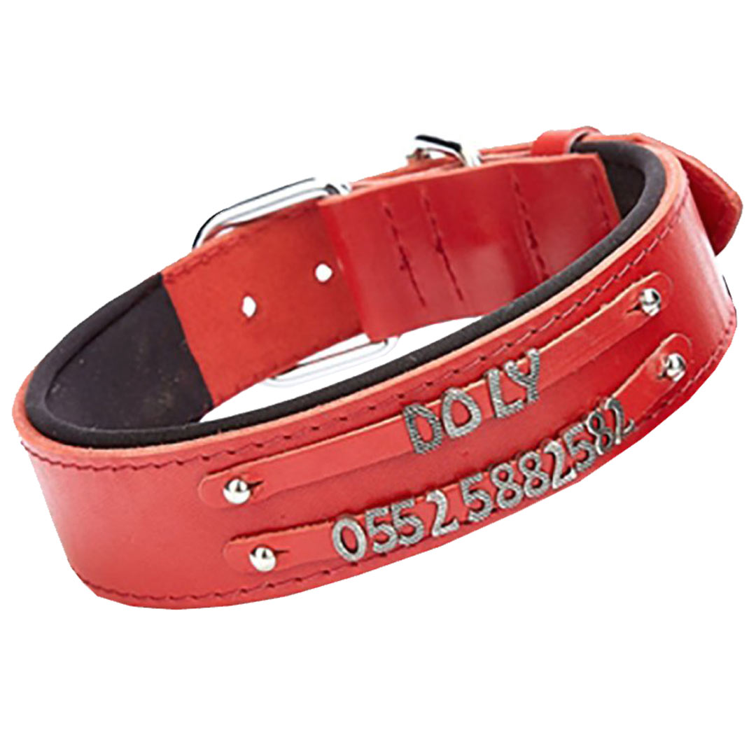 Zweireihiges Namenshalsband von GogiPet - Rotes Komfort Hundehalsband für Buchstaben und Zahlen zum selber machen