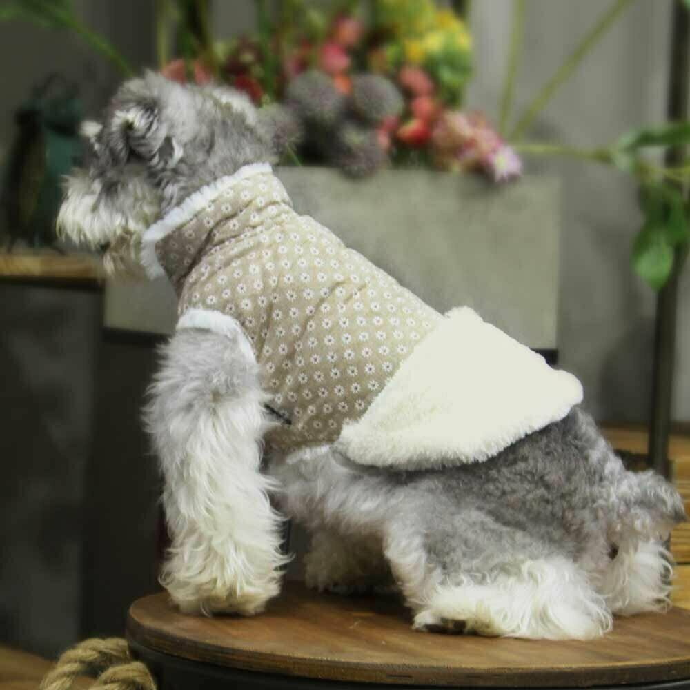 Warme Hundebekleidung von GogiPet günstig kaufen