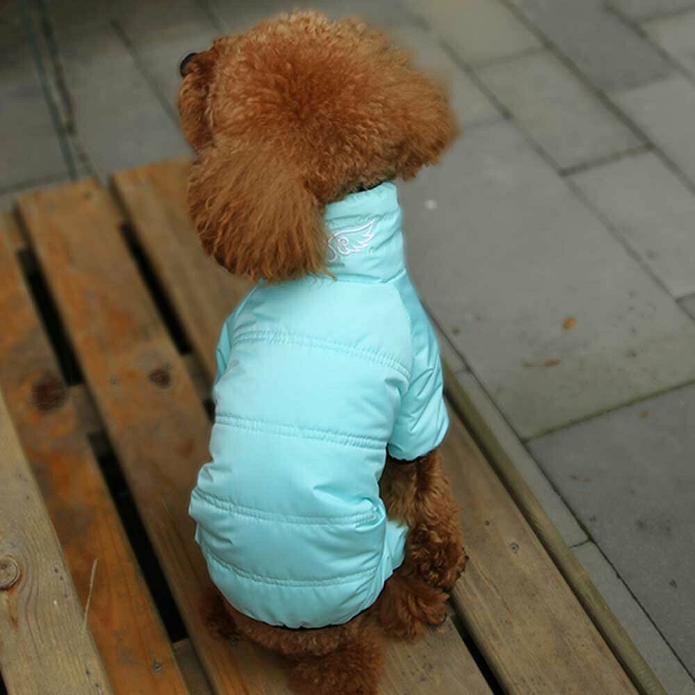 Blauer Schneeanzug die extra warme Hundekleidung