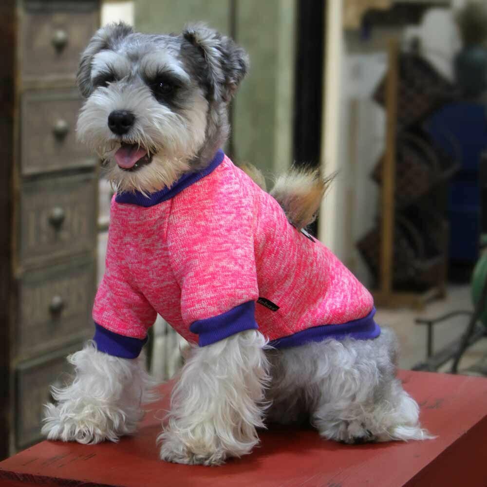 Rosa Hundepullover aus 100 % Baumwolle