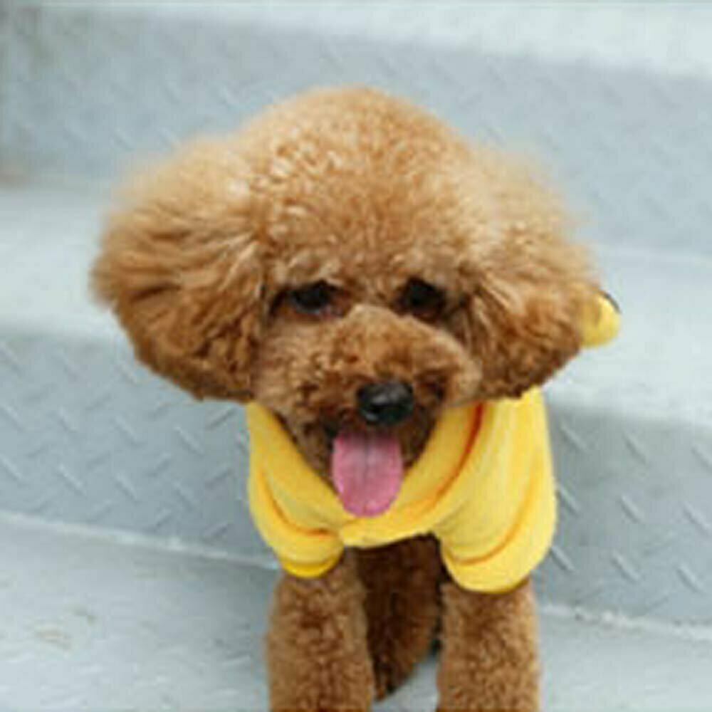 Liebevolle Hundebekleidung Häschen gelb