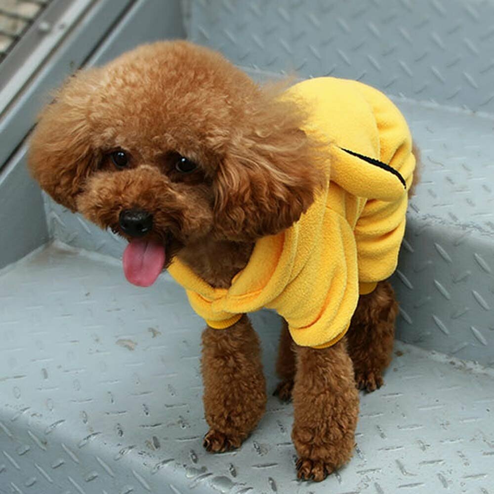 Moderne Hundebekleidung - gelbes Häschen