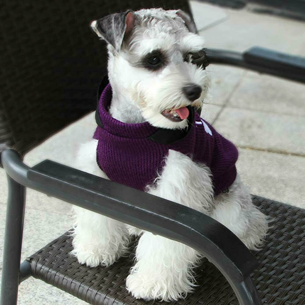 Warmer Hundepullover lila