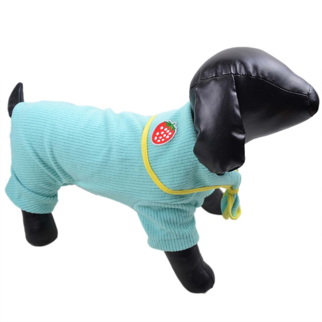 Türkiser Hunde Strampler -leicht Hundebekleidung für den Winter
