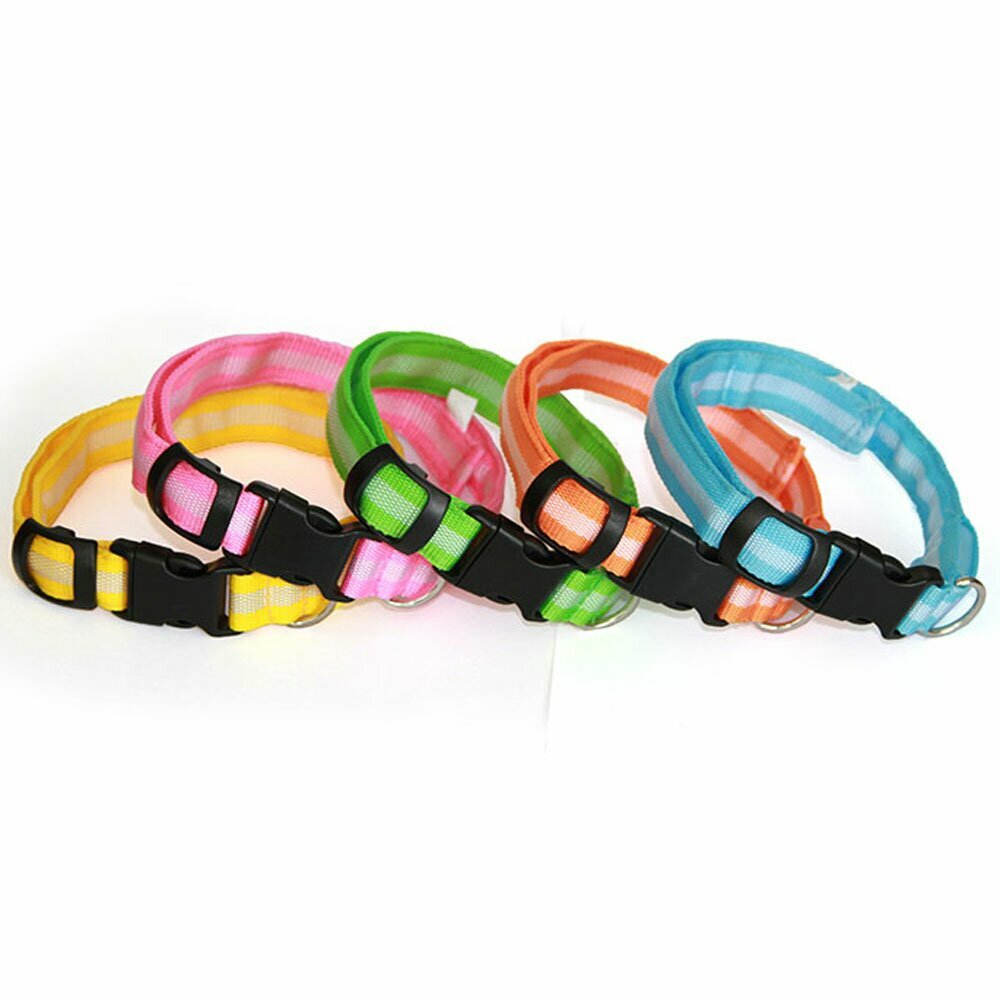 Hundehalsbänder mit Blinklicht und Licht von GogiPet ® Slim Line