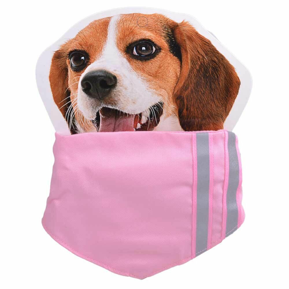 Rosa Hundehalsband mit Dreieckstuch und Reflexionsstreifen