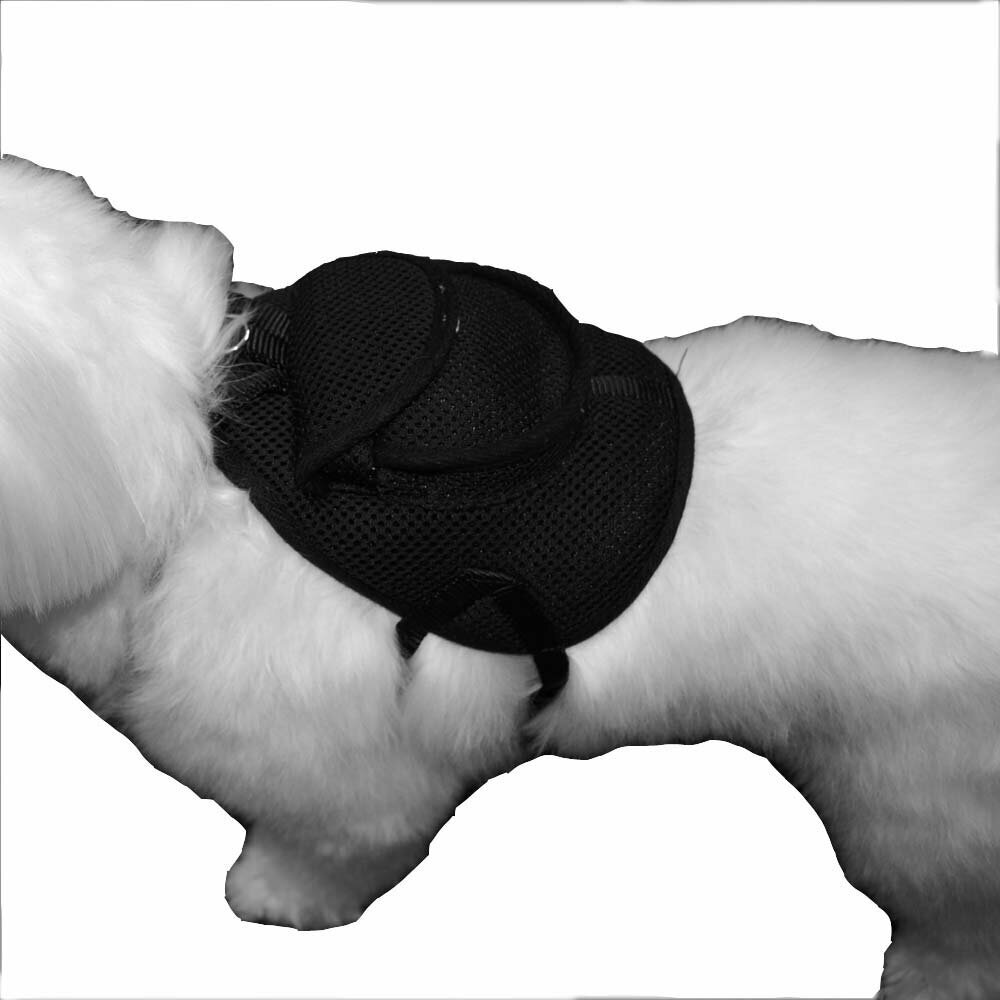 Schwarzer Hunderucksack als Brustgeschirr von GogiPet