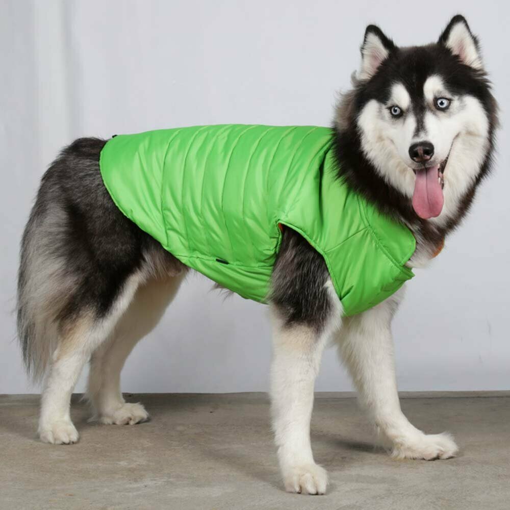 Warme grüne Hundejacke - Big Dog