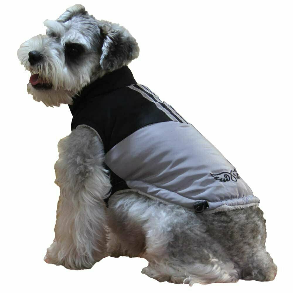 Hochwertige Hundebekleidung für den Winter - Hundeanorak