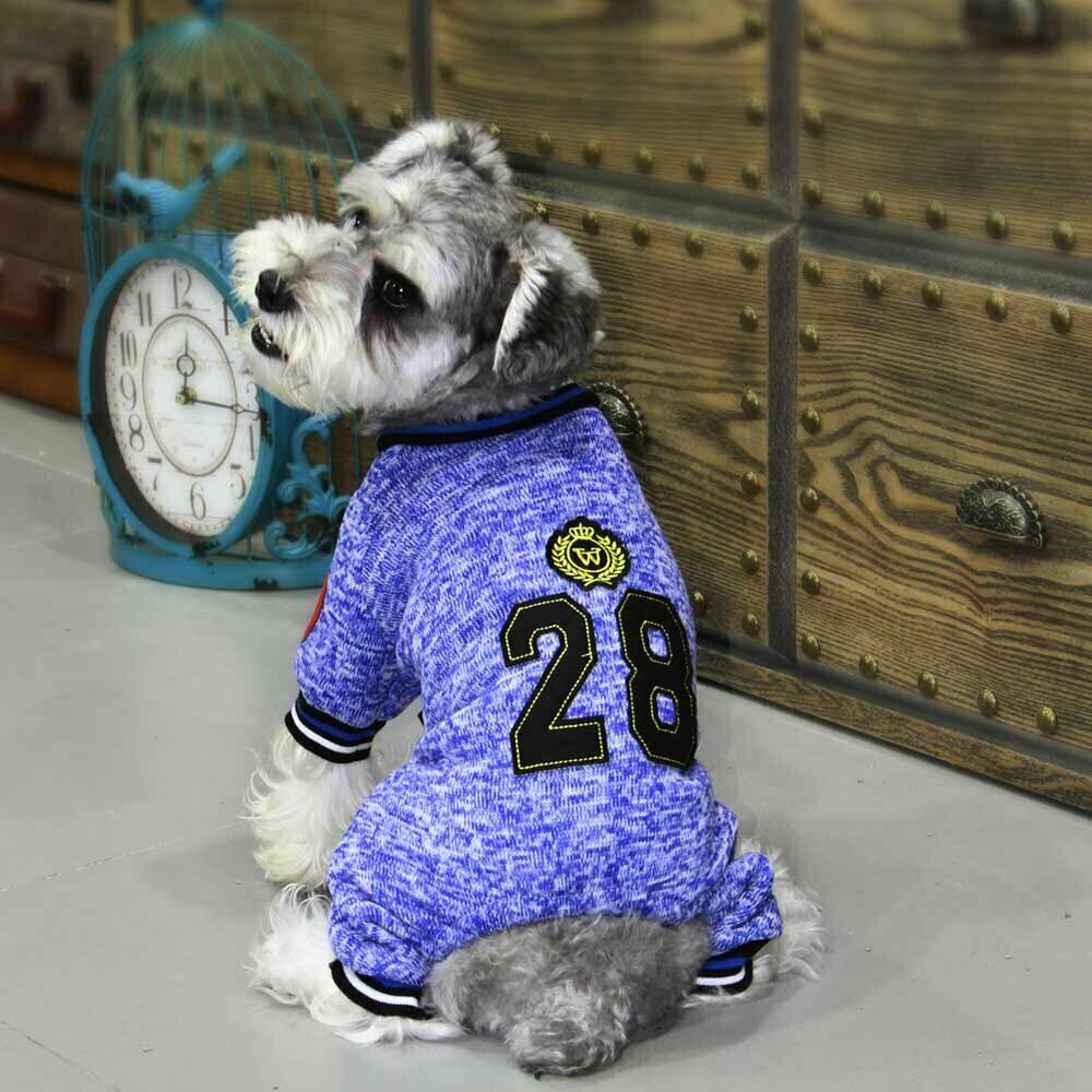 Preisgünstige Hundebekleidung aus Baumwolle Blau