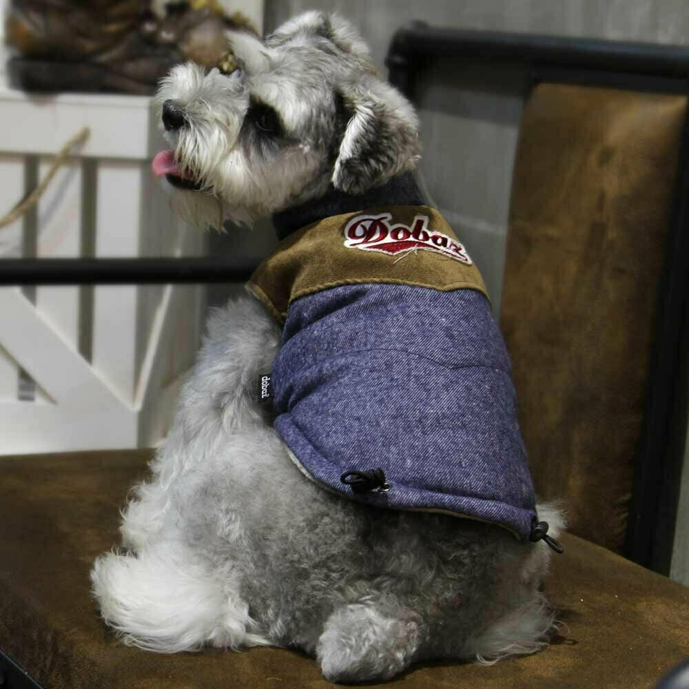 Warme Hundekleidung für den Winter - blaue Hundejacke
