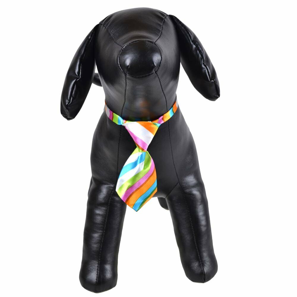 Krawatte für Hunde sehr bunt gestreift