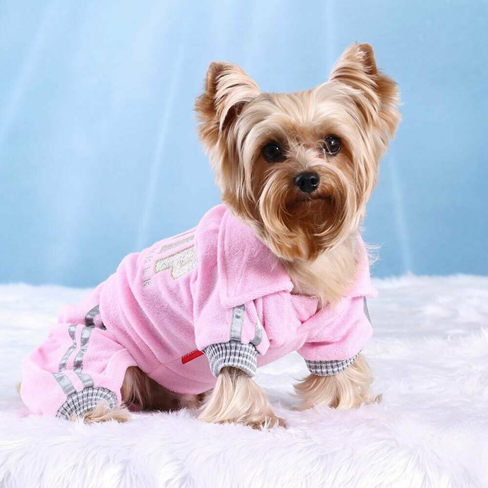 Trainingsanzug für Hunde rosa