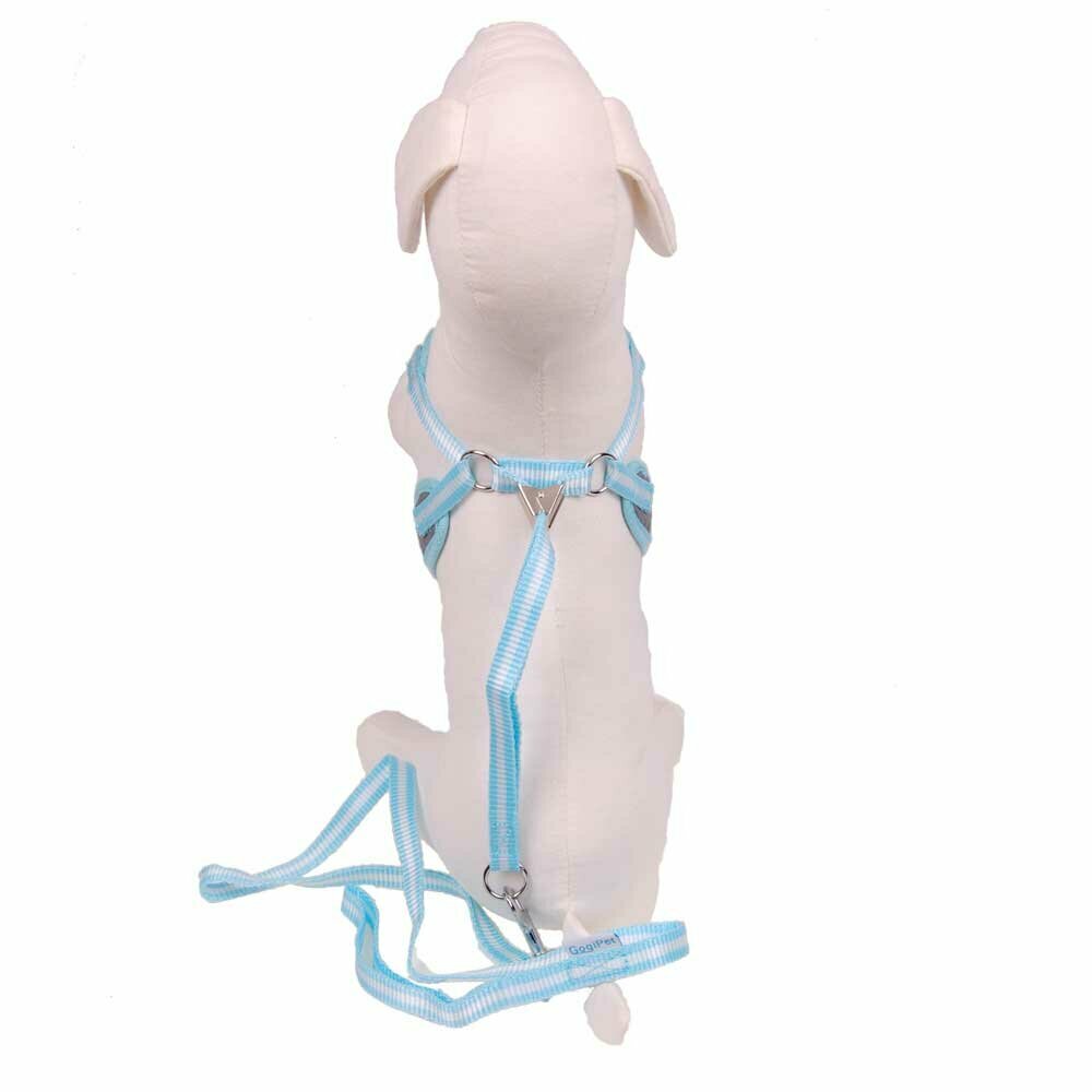 Softbrustgeschirr für Hunde in hellblau mit gratis Hundeleine von GogiPet ®