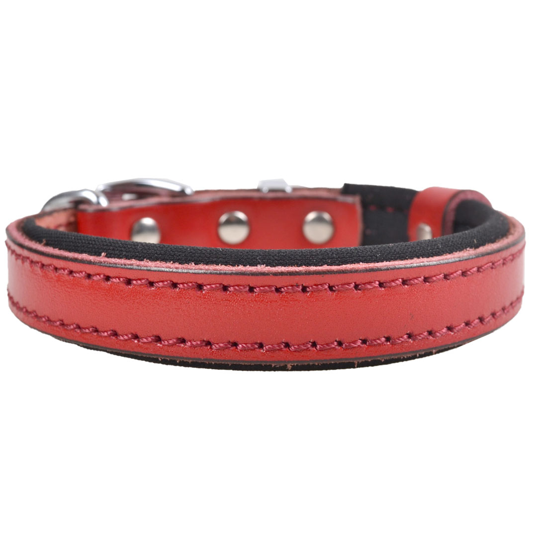 GogiPet® Komfort- Lederhundehalsband rot mit weicher Fütterung