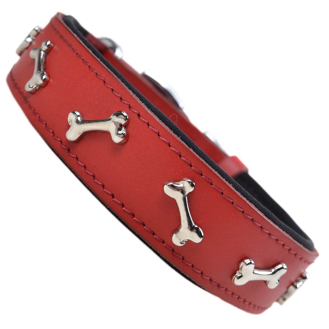 Hochwertiges Hundehalsband aus echtem Leder und weicher Polsterung mit Knochen Dekoration