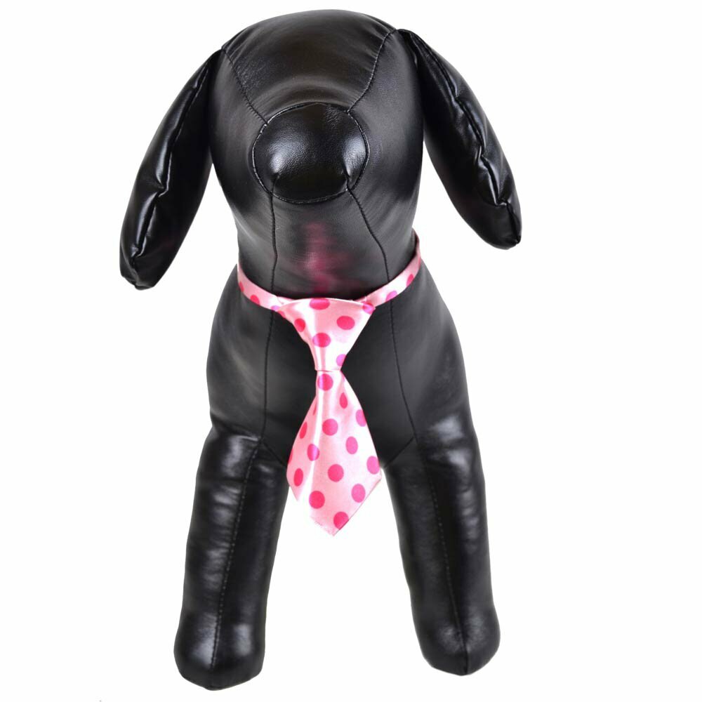 Krawatte für Hunde rosa mit Tupfen