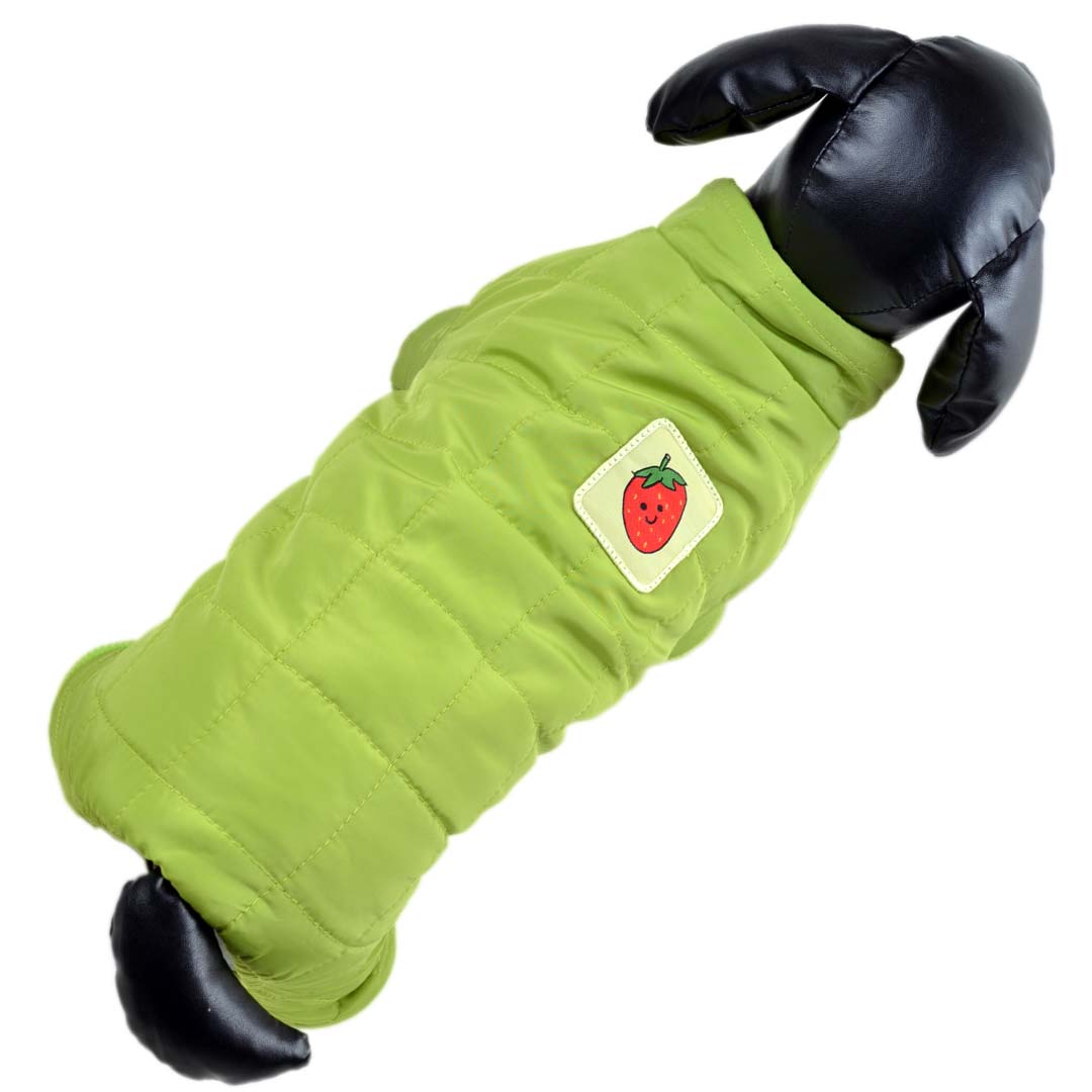 warmer Hundemantel grün mit Erdbeere an der Schulter