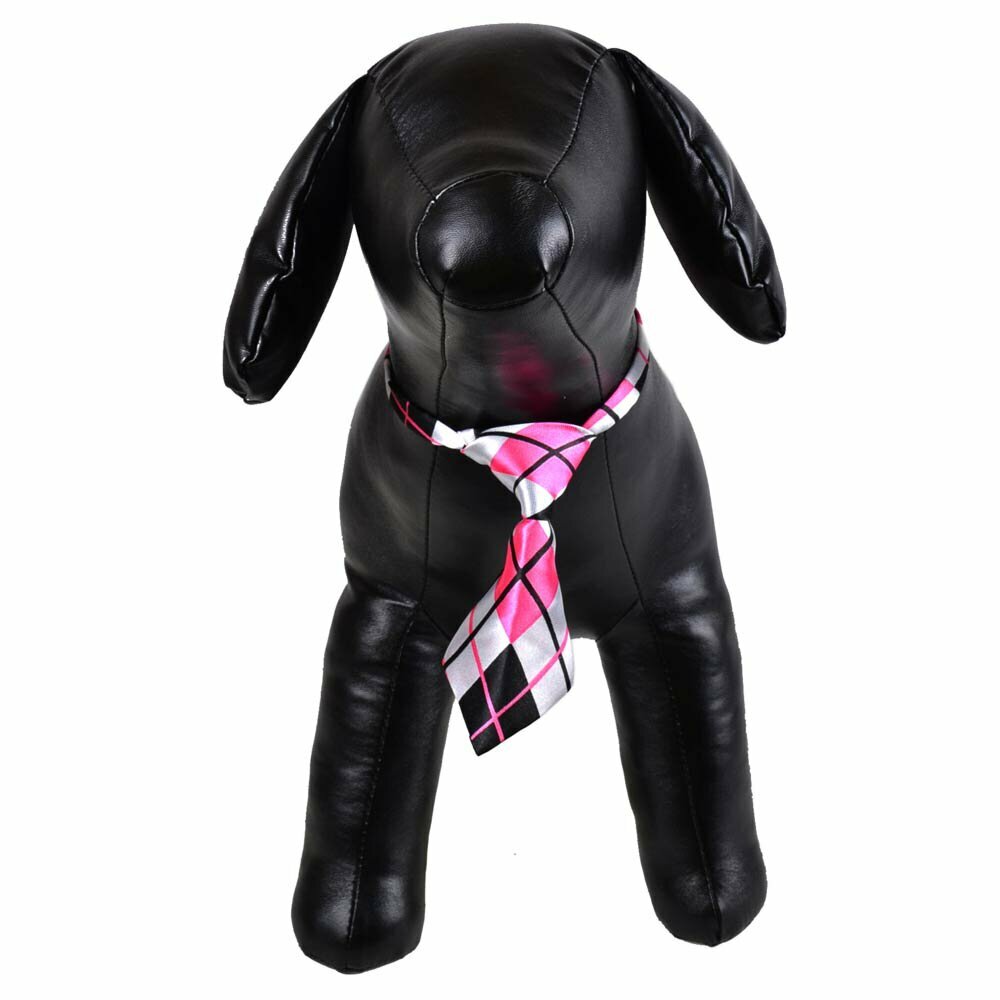 Krawatte für Hunde weiß, rosa, kariert