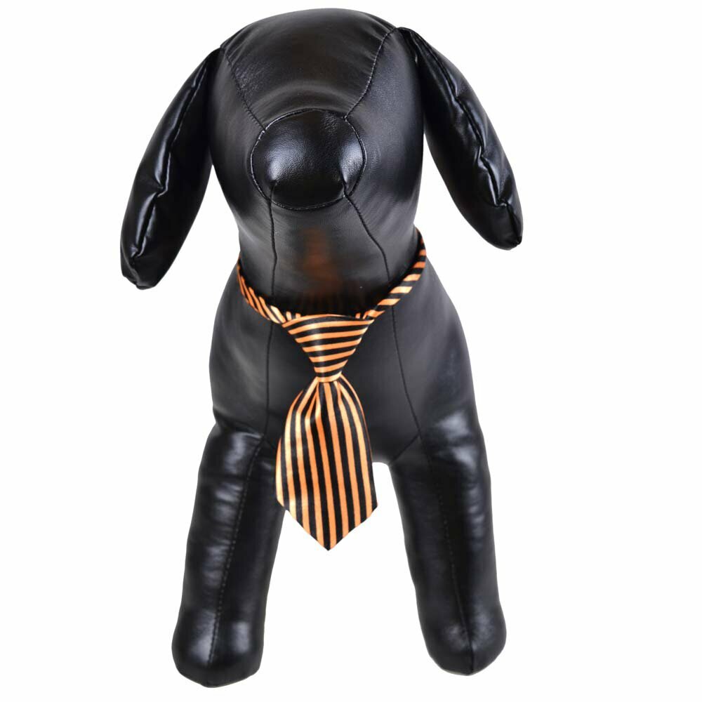 Krawatte für Hunde Schwarz, orange gestreift