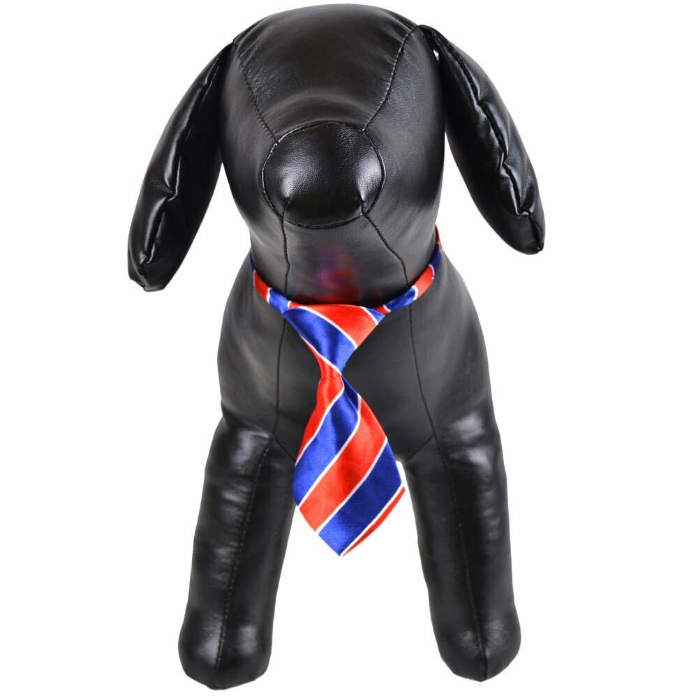 Krawatte für Hunde blau, rot gestreift