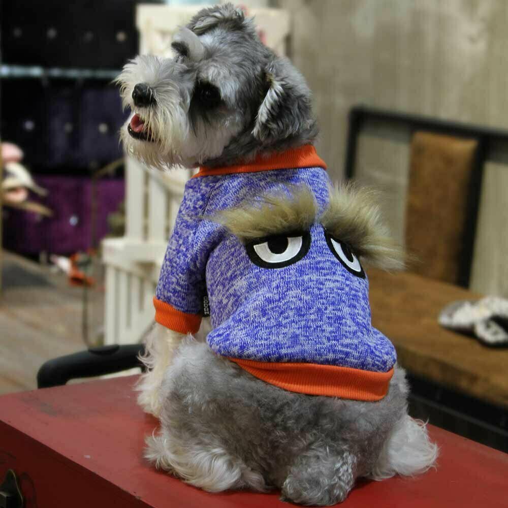 Sweater für Hunde mit Augen und Augenbrauen