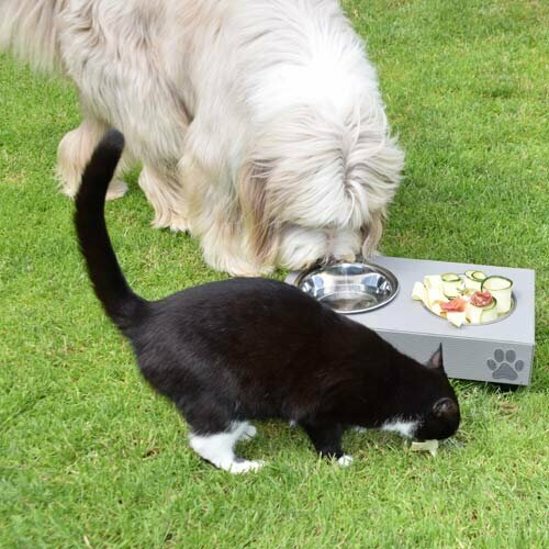 Futterstation für Hunde und Katzen
