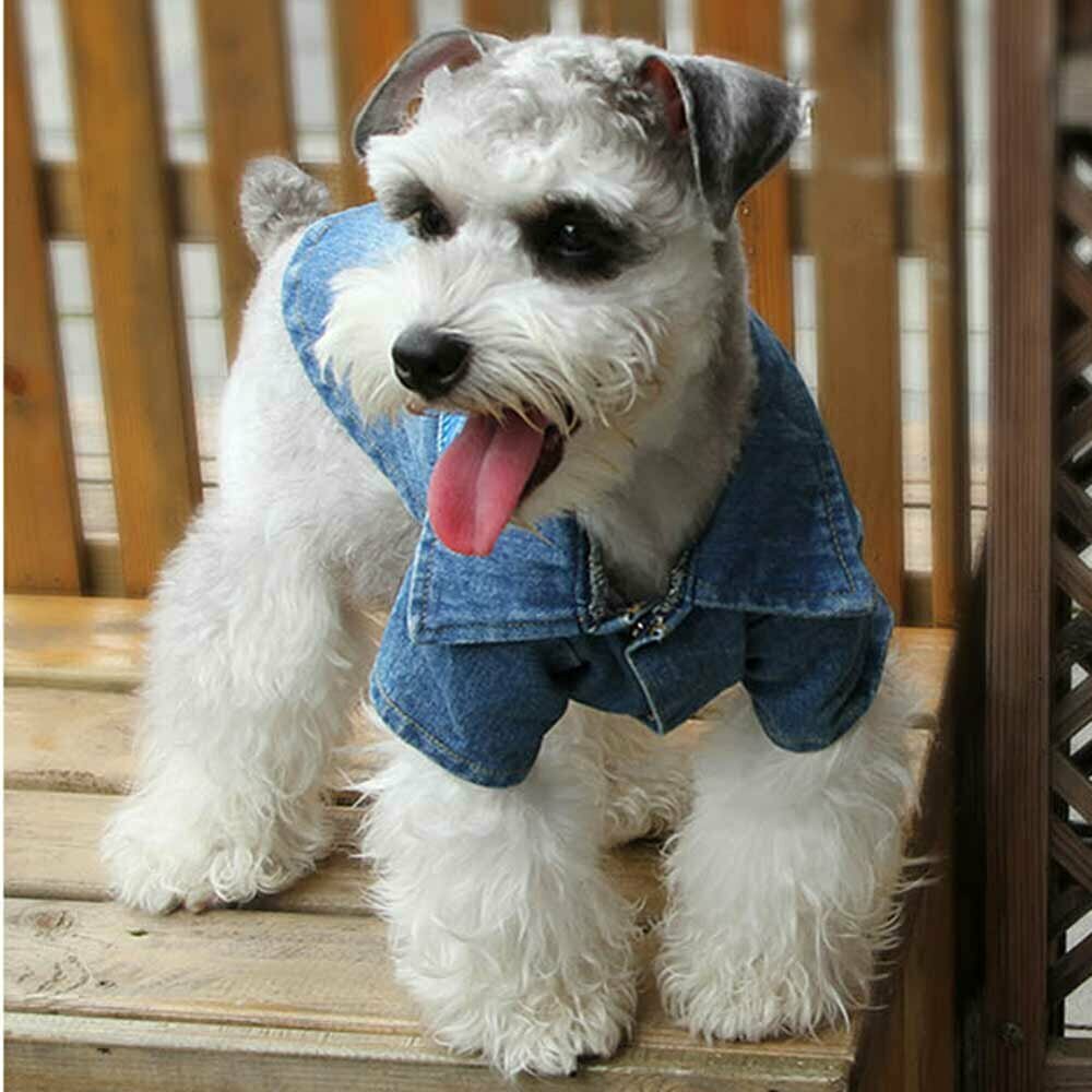 Jeansjacke Hundebekleidung