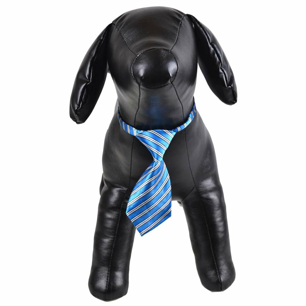 Krawatte für Hunde blau, grau gestreift