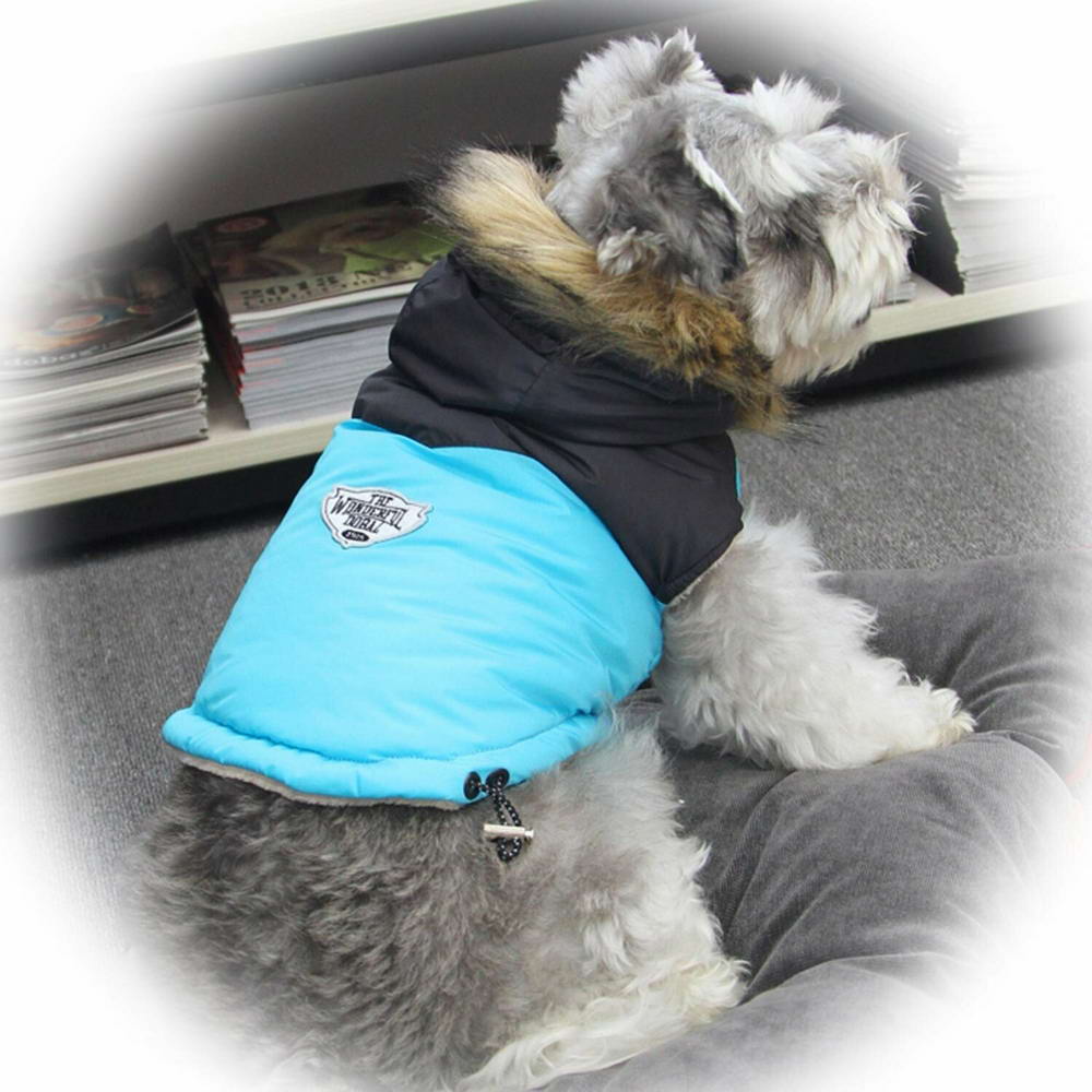 Hundebekleidung für den Winter von GogiPet Hundemoden